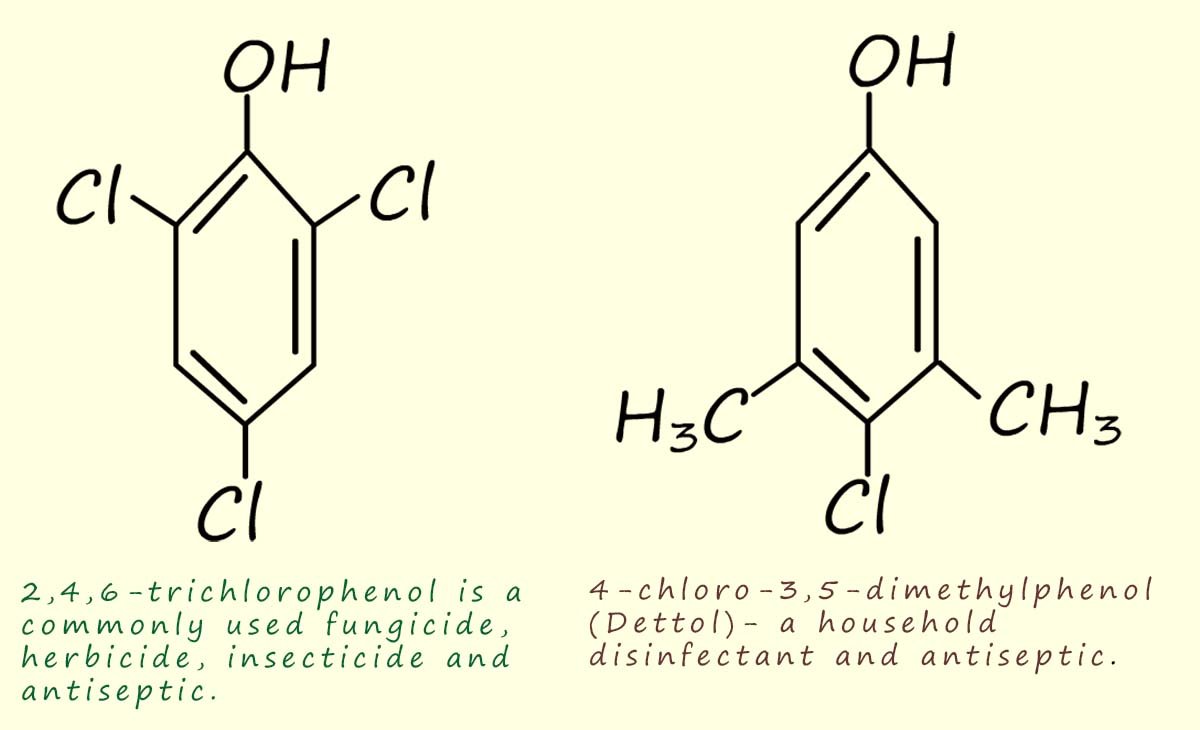 The structures of the common antiseptics and disinfectants dettol and TCP.